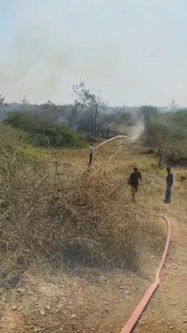 ધરપુર ગામે ઝાંખરામાં લાગેલ  આગ પર ફાયર બ્રિગેડે કાબુ મેળવ્યો.