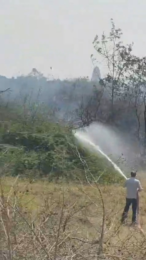 ધરપુર ગામે ઝાંખરામાં લાગેલ  આગ પર ફાયર બ્રિગેડે કાબુ મેળવ્યો.