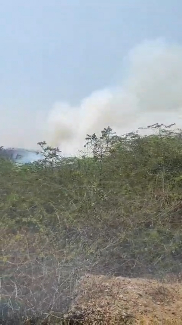 ભોદ ગામની સીમ વિસ્તારમાં પ્રચંડ આગ.