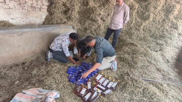 વાળોત્રા ગામે વાળી માંથી વિદેશી દારૂનો જથ્થો મળી આવ્યો. વાળોત્રા ગામે વાળી માંથી વિદેશી દારૂનો જથ્થો મળી આવ્યો.