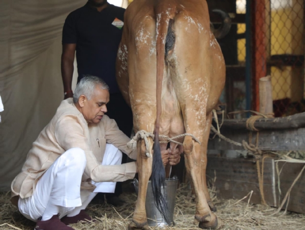 રાજ્યપાલ આચાર્ય દેવવ્રતએ ચીખલી તાલુકાના રૂમલા ગામમાં મારૂતિ મંથન પ્રાકૃતિક ફાર્મની મુલાકાત લીધી