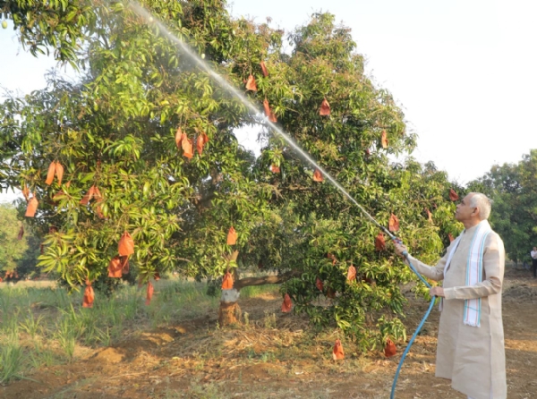 રાજ્યપાલ આચાર્ય દેવવ્રતએ ચીખલી તાલુકાના રૂમલા ગામમાં મારૂતિ મંથન પ્રાકૃતિક ફાર્મની મુલાકાત લીધી