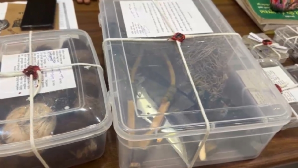 વનવિભાગની ટીમે પ્રાણીઓના અવશેષો સાથે બે મહિલા સહિત ચાર ને ઝડપી પાડ્યા.