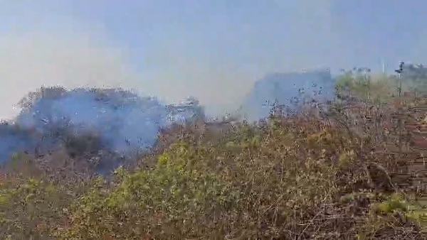 સાત કલાકની જહેમત બાદ ધરમપુર વિસ્તારમાં લાગેલી આગને કાબૂ મેળવ્યો.