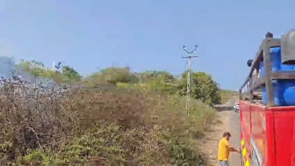 સાત કલાકની જહેમત બાદ ધરમપુર વિસ્તારમાં લાગેલી આગને કાબૂ મેળવ્યો.