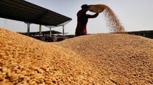 ઘઉં નોંધણીની મુદત 27 માર્ચ સુધી લંબાવાઈ