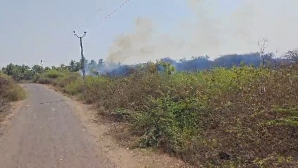 રતનપુર ગામે ઝાડી-ઝાખરામાં લાગી વિકરાળ આગ. રતનપુર ગામે ઝાડી-ઝાખરામાં લાગી વિકરાળ આગ.