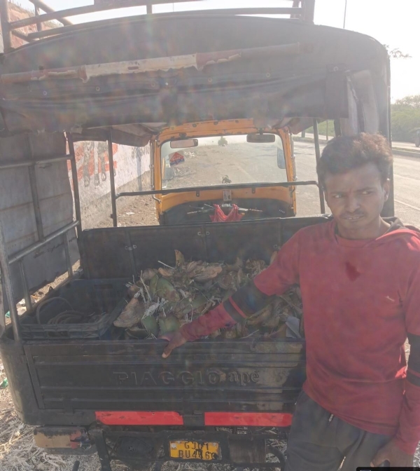 પોરબંદર મહાનગરપાલિકા દ્વારા જ્યુબેલી ચાર રસ્તા પાસે જાહેરમાં કચરો ફેંકનારને રૂ. 1000 દંડ ફટકારાયો પોરબંદર મહાનગરપાલિકા દ્વારા જ્યુબેલી ચાર રસ્તા પાસે જાહેરમાં કચરો ફેંકનારને રૂ. 1000 દંડ ફટકારાયો