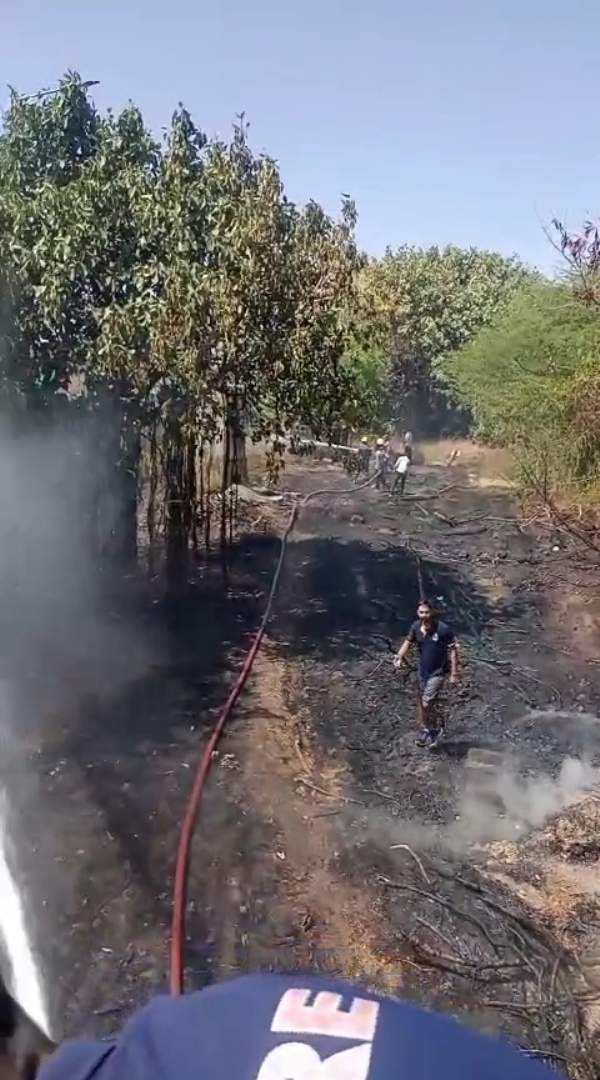 સરદાર પટેલ નેવી કવાર્ટર વિસ્તારમાં લાગી આગ.