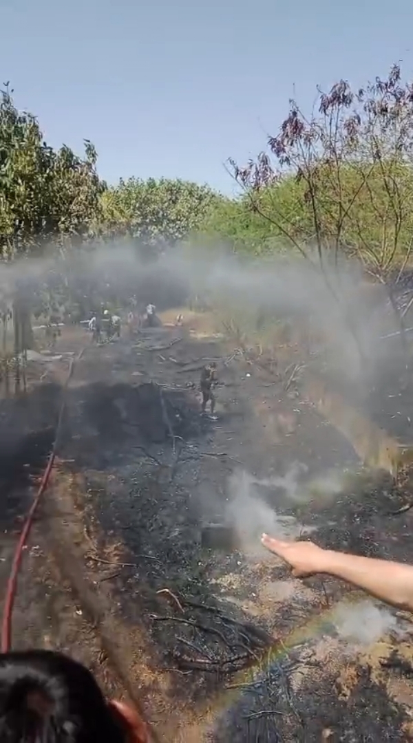 સરદાર પટેલ નેવી કવાર્ટર વિસ્તારમાં લાગી આગ.