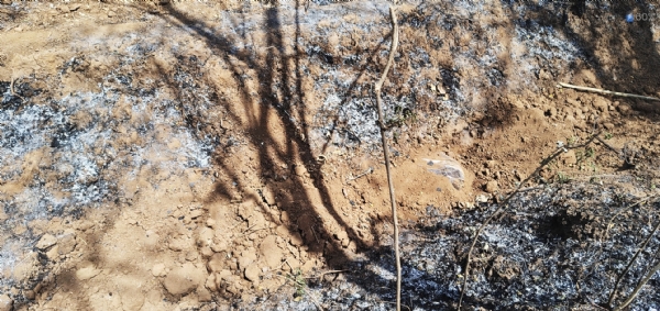 નેત્રંગમાં ખેતરમાંથી ગુમ થયેલી મહિલાની દટાયેલી લાશ મળી આવતા ચકચાર નેત્રંગમાં ખેતરમાંથી ગુમ થયેલી મહિલાની દટાયેલી લાશ મળી આવતા ચકચાર