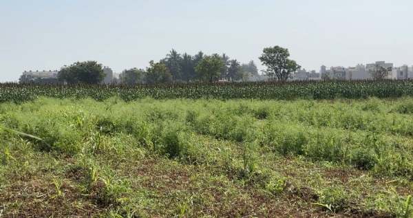 પોરબંદરના ખાપટ વિસ્તારમાં તંત્ર દ્વારા ડીમોલેશન હાથ ધરાયુ.