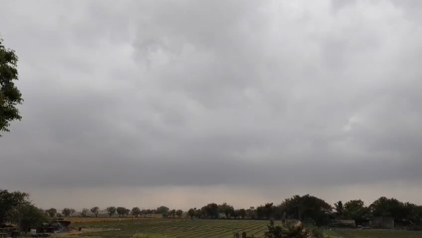 પોરબંદર પંથકમાં વાદળછાયા વાતાવરણ વચ્ચે વરસાદના અમી છાટણા.