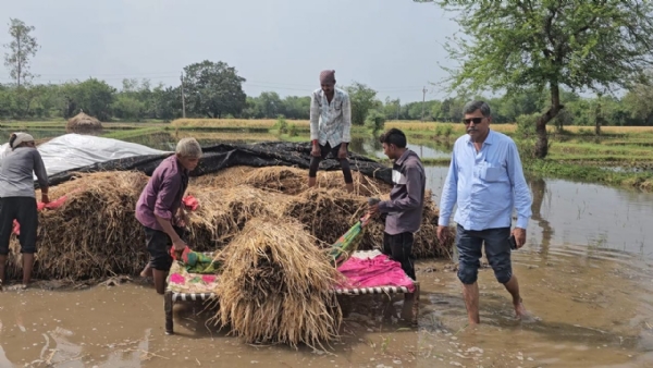 ફાઈલ ફોટો