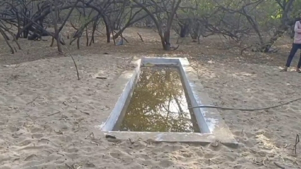 કાળઝાળ ઉનાળામાં ગીરમાં જીવદયા: વન વિભાગે ઉભા કર્યા પાણીના પોઈન્ટ,