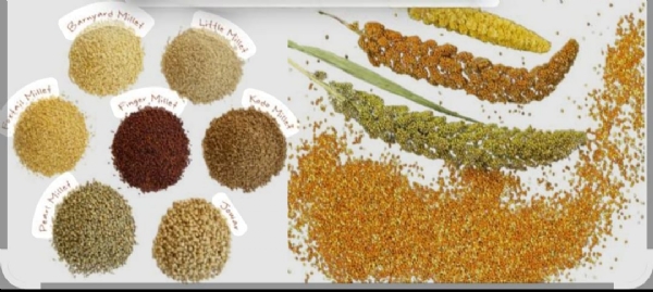 શ્રીઅન્ન