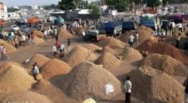 Huge influx of tourists to Rajkot market yard,