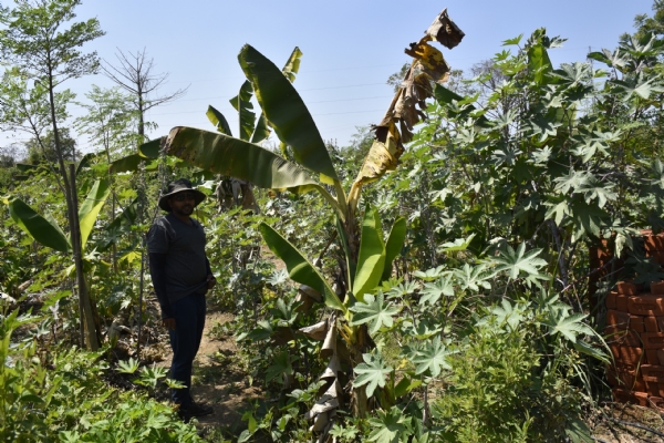 Partha Guptas Success in Natural Farming