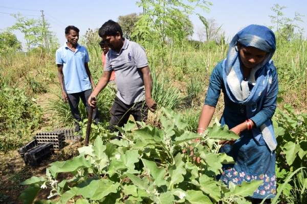 Partha Guptas Success in Natural Farming