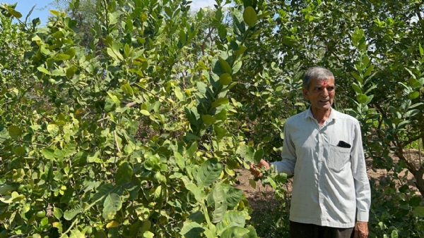 પ્રાકૃતિક ખેતીથી સફળતા: અંબાલાના ખેડૂત હસમુખભાઈ પટેલ પ્રેરણારૂપ