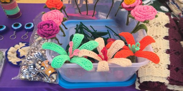 ભાવનગર જિલ્લામાં રહેતા આ મહિલા ગુંથણ કામ કરી સારી એવી આવક મેળવી રહ્યા છે.