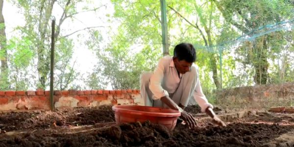 અડાલજની શૈક્ષણિક સંસ્થામાં સ્વનિર્ભતાના પાઠ, રોજ 500થી વધુ લોકોની રસોઇ બાયોગેસ પર બને છે