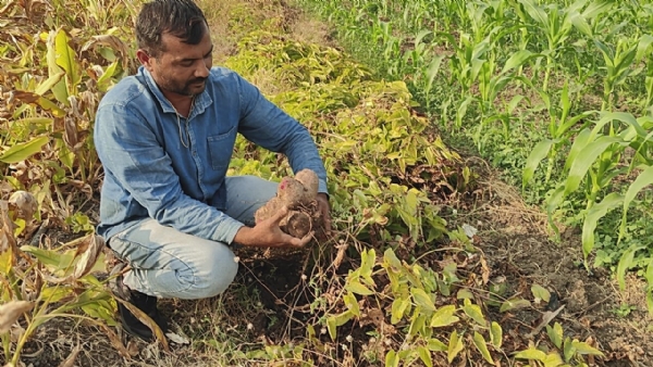 ખેતી પ્રત્યેના પ્રેમે બદલ્યો જીવન માર્ગ: સાવરકુંડલાના યુવા ખેડૂત હર્ષદભાઈ ભાલાળાની સફળતા ગાથા
