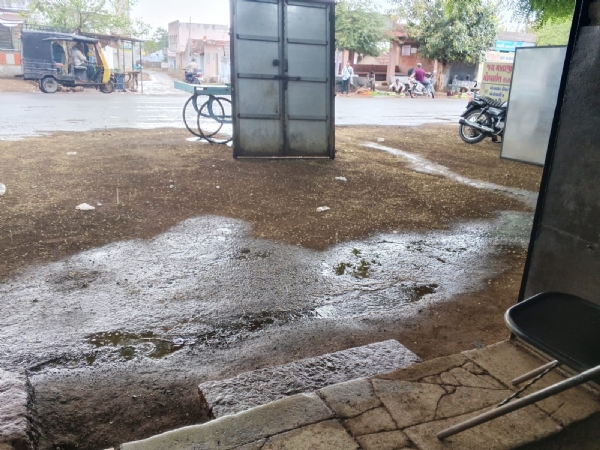 અમરેલીમાં વાતાવરણમાં અચાનક પલટો, સાવરકુંડલા પંથકમાં વરસાદથી ખેડૂતોમાં ચિંતા અમરેલીમાં વાતાવરણમાં અચાનક પલટો, સાવરકુંડલા પંથકમાં વરસાદથી ખેડૂતોમાં ચિંતા