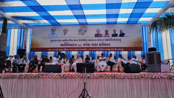 AMBAJI MA RASHAN DILRO NI BETHAK AMBAJI MA RASHAN DILRO NI BETHAK