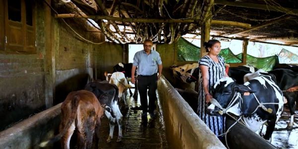 પાંચ ચોપડી પાસ ‘મિરેકલ બોય’ દિપક પટેલે પશુપાલકોની આવક જબરદસ્ત વધારી દીધી