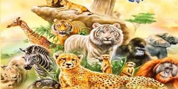 ઉપરાષ્ટ્રપતિ, ગૃહમંત્રી અને અન્ય ઘણા નેતાઓએ વિશ્વ વન્યજીવન દિવસની શુભેચ્છાઓ પાઠવી