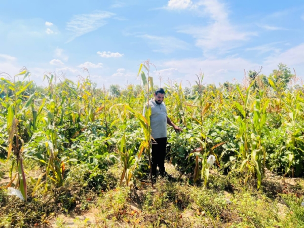 કમાણા ગામે દંપતીએ ઉભું કર્યું પ્રાકૃતિક ખેતીનું સફળ મોડલ