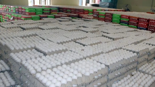 ઈંડા ઉદ્યોગ ઈંડા ઉદ્યોગ