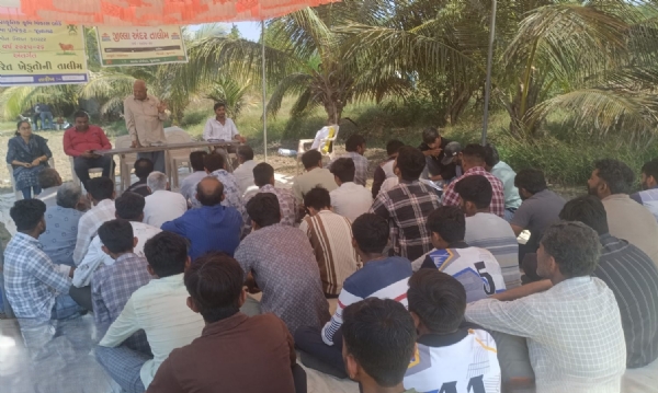 માણાવદરના ચીખલોદ્રામાં પ્રાકૃતિક ખેતીનો નવો રાહ: