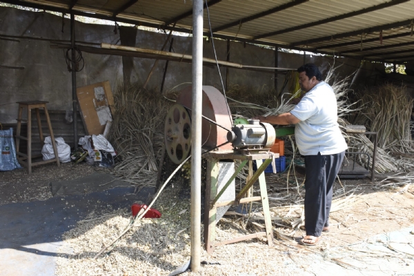 બળવંતભાઈ પટેલ પશુપાલનથી બન્યા આત્મનિર્ભર