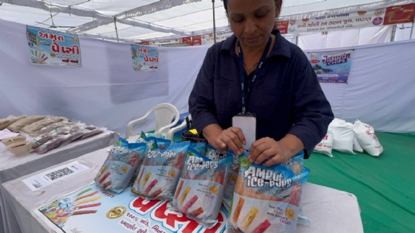 ચાણસ્માની પિન્કીબેન પટેલનો અનોખો ફૂડ વ્યવસાય: સોલર ડિહાઇડ્રેશનથી બનાવે છે વિવિધ પ્રોડક્ટ્સ