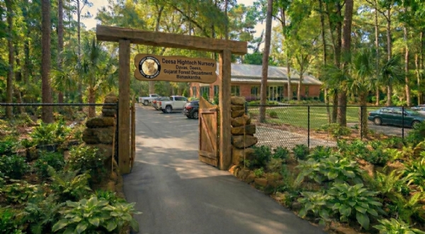 રાજ્યની પ્રથમ હાઇટેક નર્સરી બનશે