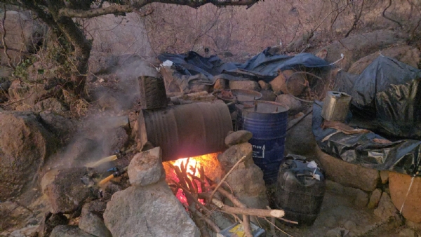 રાણાવાવ પોલીસે દેશી દારૂની ભઠ્ઠી તોડી પાડી.