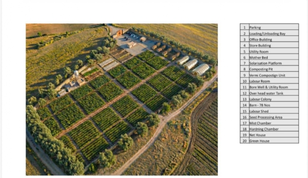 રાજ્યની પ્રથમ હાઇટેક નર્સરી બનશે