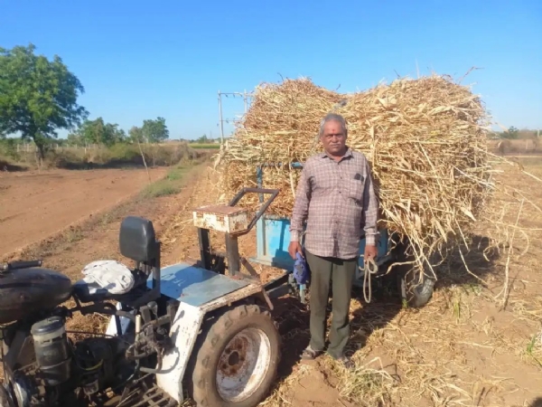 સાવરકુંડલાના થોરડી ગૌશાળામાં જ્યસુખભાઈ માલાણી દ્વારા ઘાસચારાનું દાન