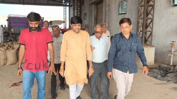ટેકાના ભાવે ચણાની ખરીદી કેન્દ્રની મુલાકાતે મનીષ સંઘાણી, ખેડૂતોની સુવિધાઓની સમીક્ષા