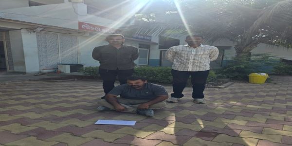 IPL મેચ પર ઓનલાઇન, ક્રિકેટ સટ્ટો રમતા શખ્સ ઝડપી પાડાયો – LCBની ત્વરિત કાર્યવાહી