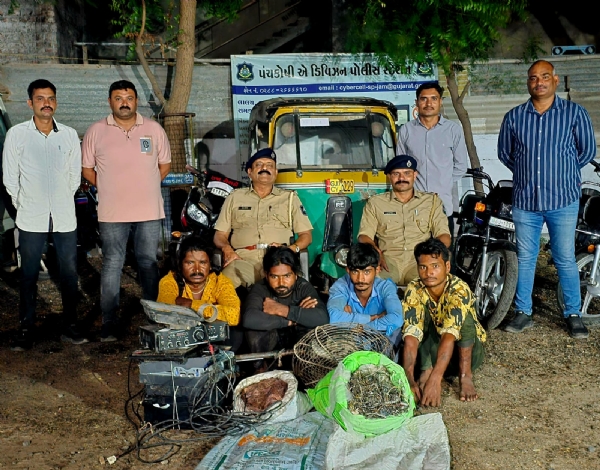 ચોરીના આરોપી