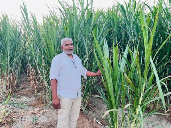 કોરોના પછી ખેતી તરફ વળેલા પ્રવીણભાઈ પટેલે ઉભું કર્યું પ્રાકૃતિક ખેતીનું મોડલ કોરોના પછી ખેતી તરફ વળેલા પ્રવીણભાઈ પટેલે ઉભું કર્યું પ્રાકૃતિક ખેતીનું મોડલ