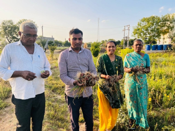 નોકરીની સાથે સાથે ખેતી: બોદલા ગામના જીગર પટેલ બન્યા પ્રાકૃતિક ખેતીમાં સફળતા નો દાખલો નોકરીની સાથે સાથે ખેતી: બોદલા ગામના જીગર પટેલ બન્યા પ્રાકૃતિક ખેતીમાં સફળતા નો દાખલો