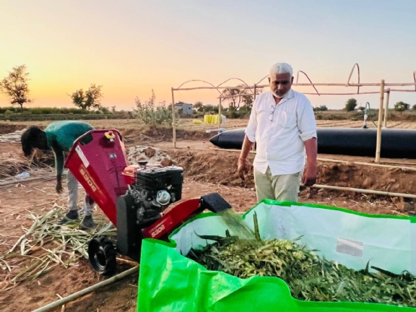 કોરોના પછી ખેતી તરફ વળેલા પ્રવીણભાઈ પટેલે ઉભું કર્યું પ્રાકૃતિક ખેતીનું મોડલ કોરોના પછી ખેતી તરફ વળેલા પ્રવીણભાઈ પટેલે ઉભું કર્યું પ્રાકૃતિક ખેતીનું મોડલ