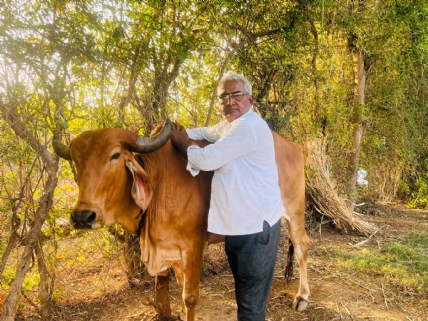 નોકરીની સાથે સાથે ખેતી: બોદલા ગામના જીગર પટેલ બન્યા પ્રાકૃતિક ખેતીમાં સફળતા નો દાખલો નોકરીની સાથે સાથે ખેતી: બોદલા ગામના જીગર પટેલ બન્યા પ્રાકૃતિક ખેતીમાં સફળતા નો દાખલો