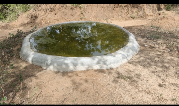 ઋષિવનમાં વન્યજીવો માટે ૩૫ તલાવડીઓ: ઉનાળામાં જીવનદાયી પહેલ