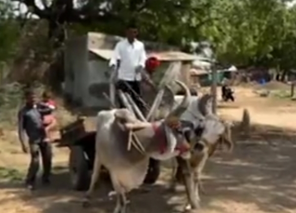 પાટણ જિલ્લાના ખેડૂતોએ અખાત્રીજના શુભ મુહૂર્તે નવા કૃષિ વર્ષની શરૂઆત કરી