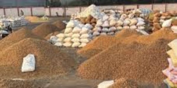 રાજકોટ માર્કેટ યાર્ડમાં જીરૂં, એરંડા અને મેથી જેવી જણસીઓની મબલખ આવક, 1200થી વધુ વાહનોની કતારો લાગી